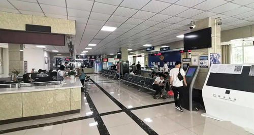 略陽創新互聯網政務服務 助力企業和群眾辦事‘最多跑一次’